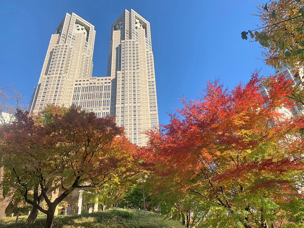 ディオレ西新宿 その他