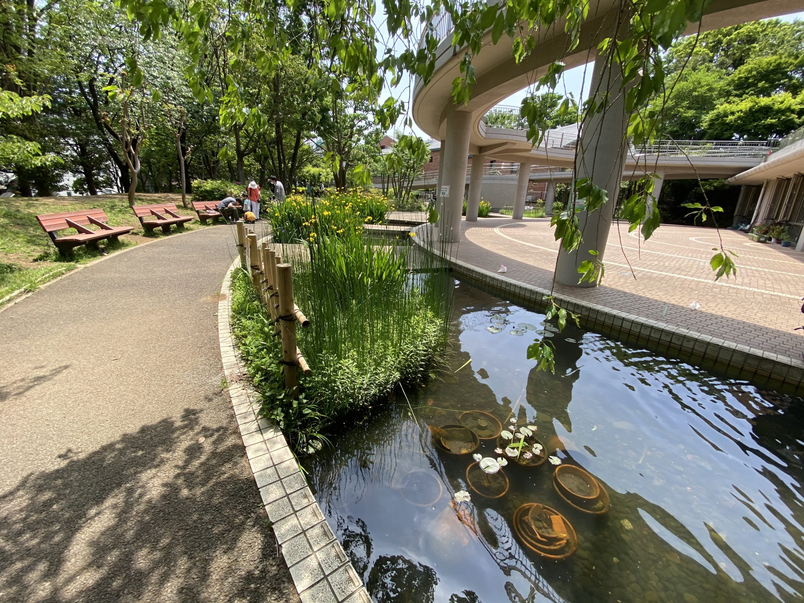 ルセージュ初台 公園