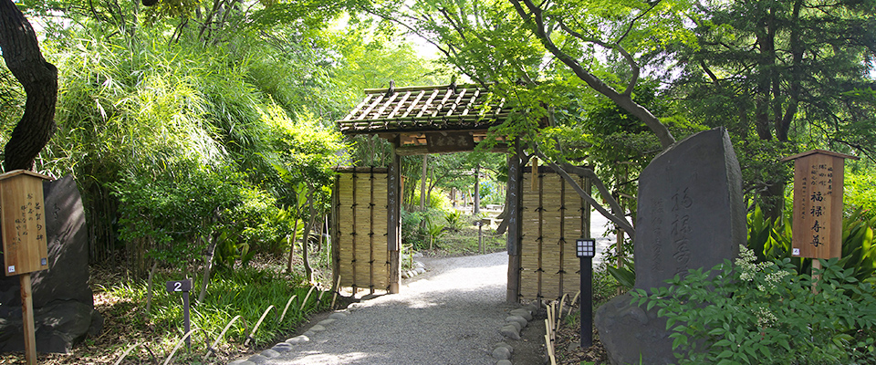 イーストコア曳舟一番館 公園