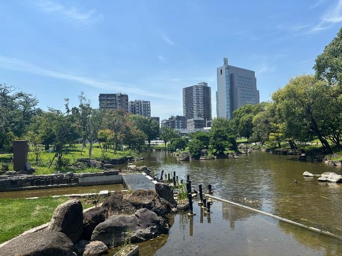 ヴェラハイツ隅田公園 その他