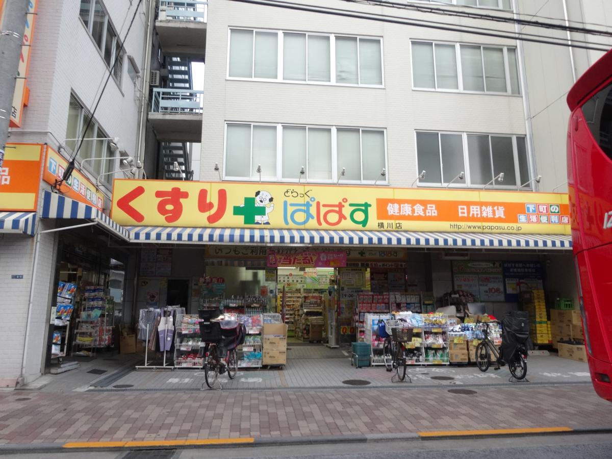 プリメール柳島 ドラッグストア