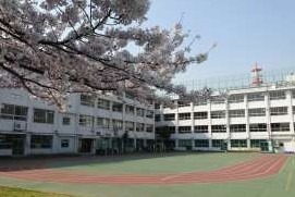 ロイヤルステージ浅草 小学校