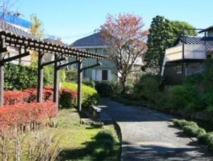 ライオンズマンション喜多見 公園