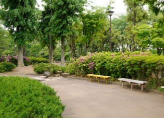 ライオンズマンション中野島 公園