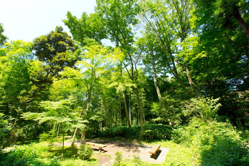 パークホームズ二子玉川ヒルトップ 公園
