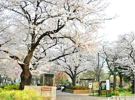 パークハウス新宿若松町 その他