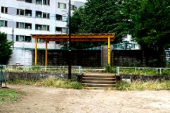 パークハウス新宿若松町 公園