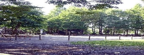 ハイネス阿佐ヶ谷 公園