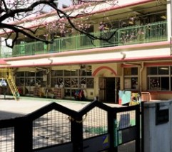 ワイムティハイム 幼稚園
