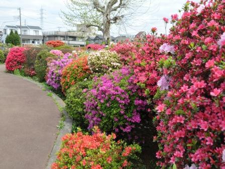 南烏山パーク・ホームズ 公園