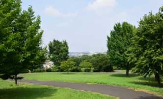 ナイスヒルズコート三ッ沢片倉 公園