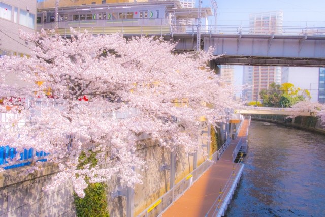 秀和五反田駅前レジデンス その他