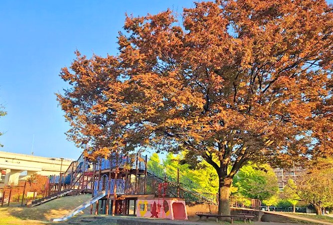 グレイス蒔田公園 その他