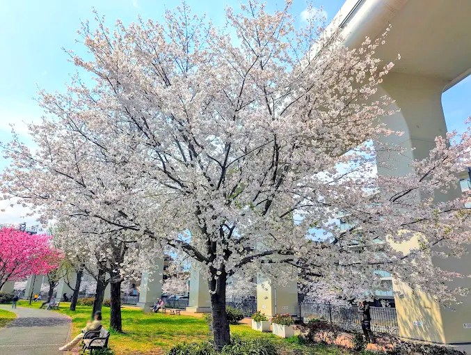 グレイス蒔田公園 その他