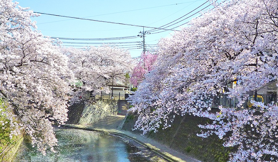 グレイス蒔田公園 その他