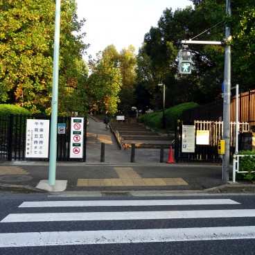 パシフィックパレス新代々木 公園