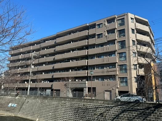 ナイスエスアリーナ弘明寺 現地写真