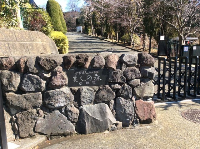 ウェルフェアステージ美しが丘サヴァーニ 幼稚園