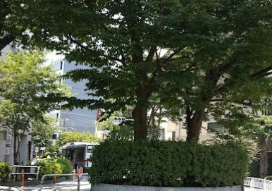 リシェ大井プリーマ 公園