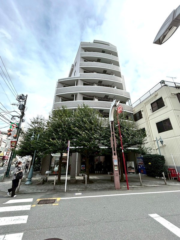 ワールドパレス武蔵小山Ⅱ 現地写真