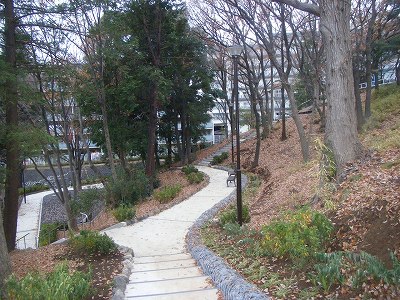 ユニテ藤が丘ウエストテラス 公園