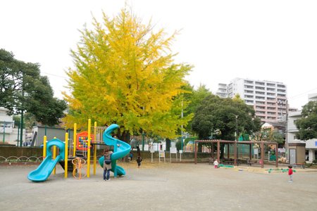 エクセレント文京動坂 幼稚園