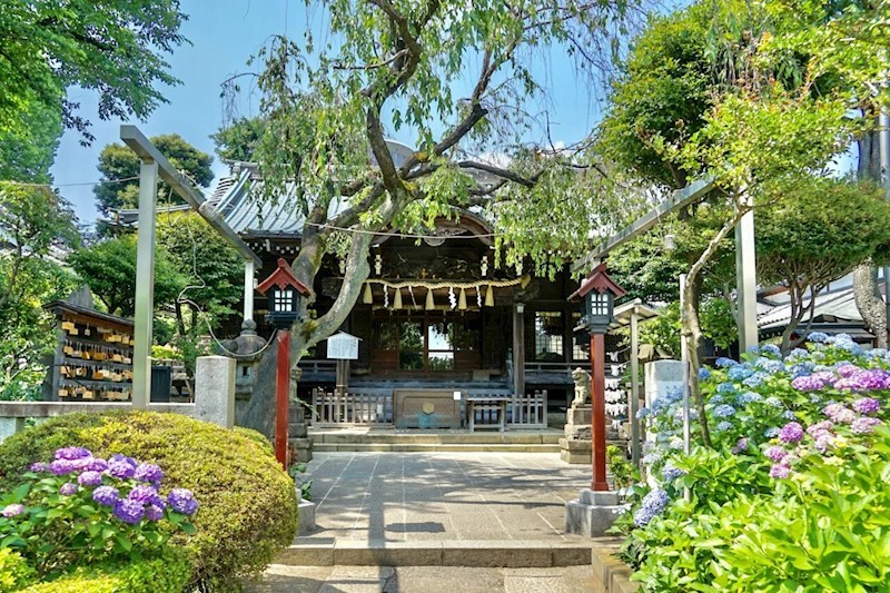スカイコート茗荷谷壱番館 その他
