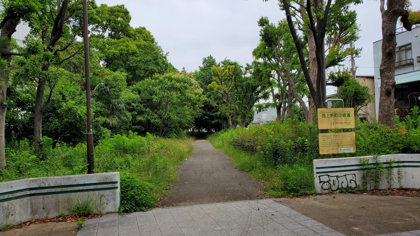 川崎ロイヤルマンション 公園