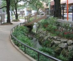 世田谷区代田１丁目　売地　A区画 公園