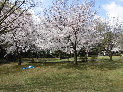 エンゼルハイム日吉 公園