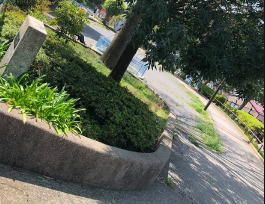 プレシス横濱山手パークフロント 公園