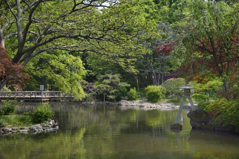 日興パレス南麻布 公園