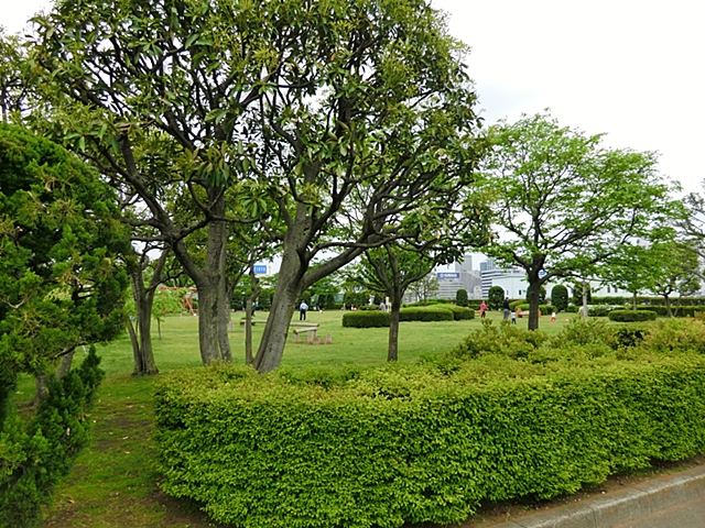 秀和第２高輪レジデンス 公園