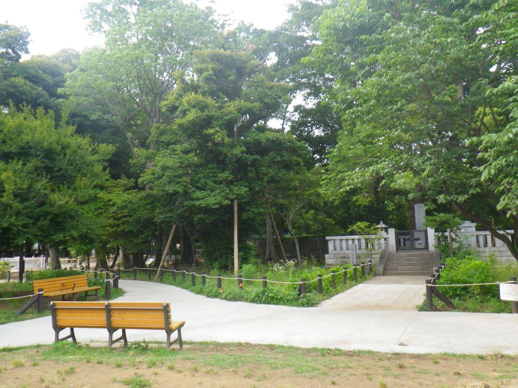 ピアース若林 公園