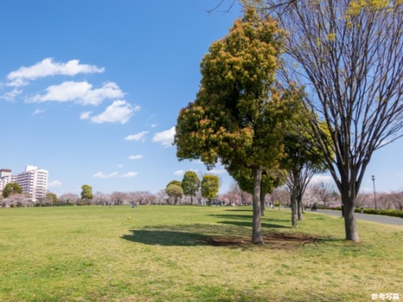 イトーピア東大島マンション 公園