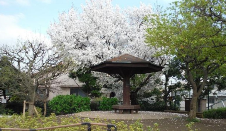 田園調布コーポラス 公園