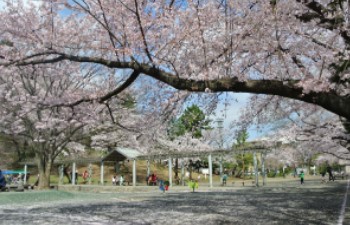 ＢＥＬＩＳＴＡ溝の口 公園
