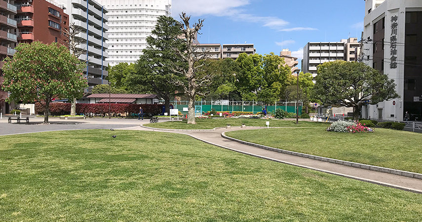 センチュリー横浜関内 公園