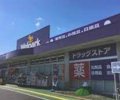 レーヴステージ善福寺公園 ドラッグストア